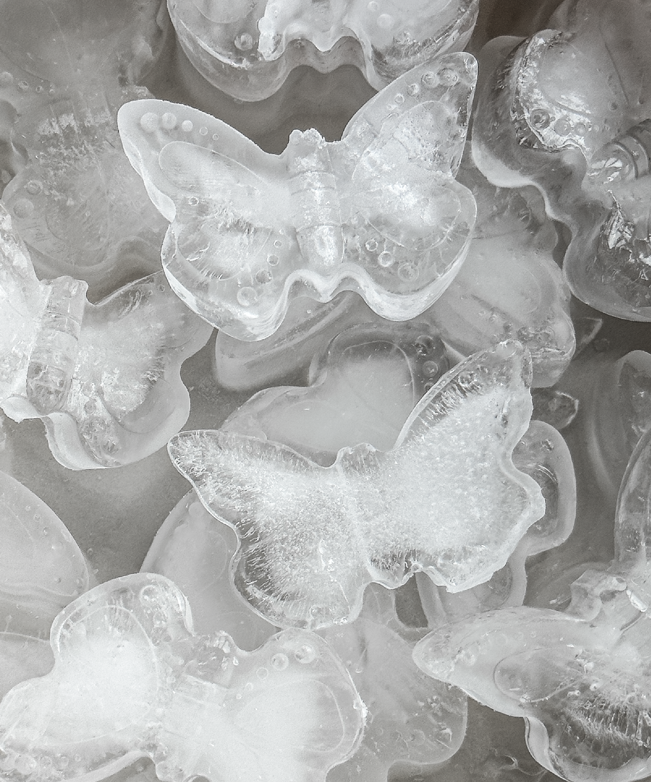 Silicone ice cube tray in butterfly design | Clea