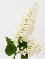 Lilac Bloom in White | Bloom