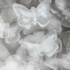 Ice Cube Butterfly | Clea