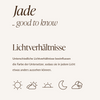 Plate Coaster Taupe/Cream | Jade