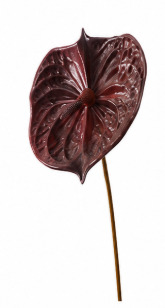 Realistische Kunstblumen Anthurium in Lila – bloom collection von 7 O'CLOCK