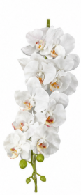 Realistische Kunstblumen Orchidee mit neun Blüten in Weiß – bloom collection von 7 O'CLOCK