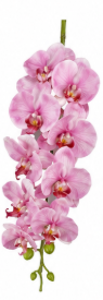 Realistische Kunstblumen Orchidee mit neun Blüten in Rosa – bloom collection von 7 O'CLOCK