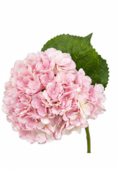 Realistische Kunstblumen Hortensie in Hellrosa – bloom collection von 7 O'CLOCK