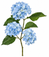 Realistischer Kunstzweig Kleiner Hortensienzweig mit drei Blüten in Hellblau – bloom collection von 7 O'CLOCK