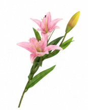 Realistischer Kunstzweig Lilienzweig mit zwei Blüten in Rosa – bloom collection von 7 O'CLOCK