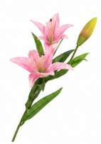 Realistische Kunstblumen Lilie mit drei Blüten in Weiß & Rosa – bloom collection von 7 O'CLOCK