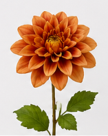 Realistische Kunstblumen Dahlie in Blutorange – bloom collection von 7 O'CLOCK
