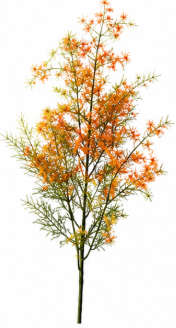 Realistischer Kunstzweig Zierspargel in Orange – bloom collection von 7 O'CLOCK