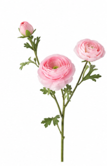 Realistische Kunstblumen Ranunkel in Rosa – bloom collection von 7 O'CLOCK