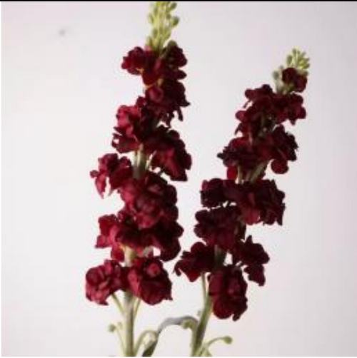 Realistische Kunstblumen Rittersporn in Bordeaux – bloom collection von 7 O'CLOCK