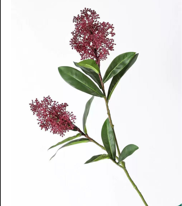 Berry Branch in Red | Bloom