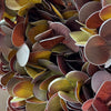 Copper Dusk 10-Piece Bouquet in Bordeaux, Green & Copper | Bloom