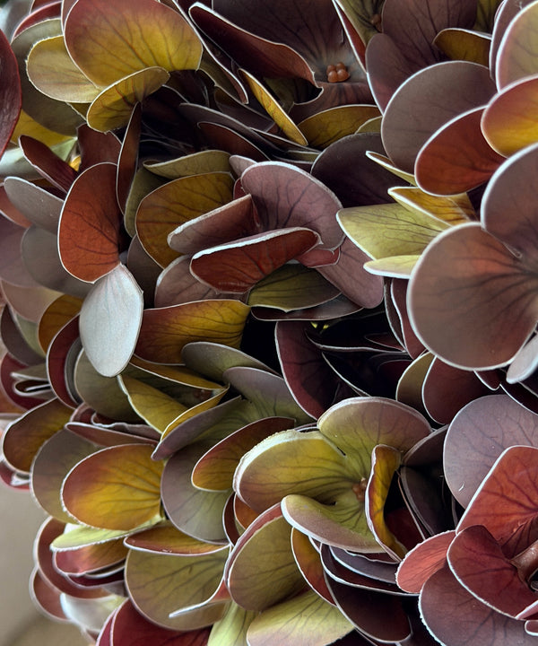 Copper Dusk 10-Piece Bouquet in Bordeaux, Green & Copper | Bloom