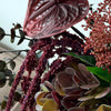 Forest Ember 10er Bouquet in Bordeaux, Grün & Braun | Bloom