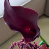 Merlot Night 10-Piece Bouquet in Bordeaux & Green | Bloom