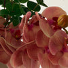 Orchid Muse 11-Stem Bouquet in Pink &amp; Green | Bloom