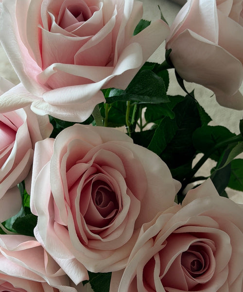 Rosen Bouquet Hellrosa – Nahaufnahme der Blüten mit Blattgrün – Bloom von 7 O'CLOCK