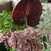 Wild Velvet 10-Stem Bouquet in Green, Dusky Pink &amp; Burgundy | Bloom