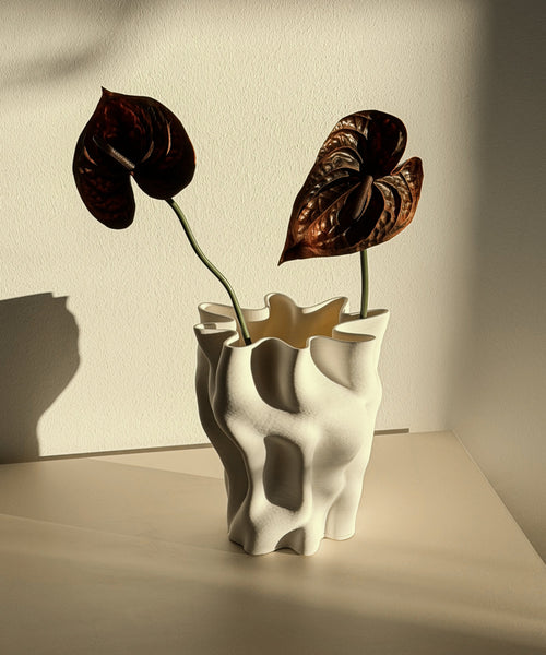 Cleo Vase mit dunkelroten Anthurien auf dem Sideboard im Sonnenlicht