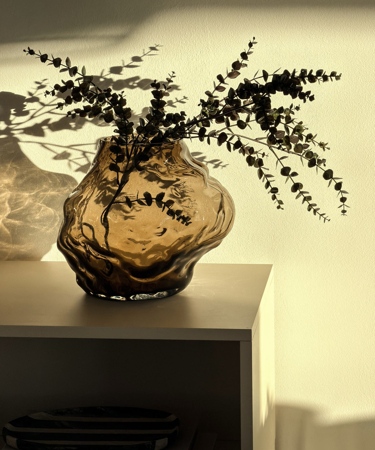 Suri Vase mit Eukalyptuszweigen auf dem Sideboard im Sonnenlicht