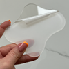 Acrylic Coasters | Holly