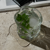 Acrylic Coasters | Holly
