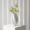 Anthurium Bouquet of 6 in White | Bloom