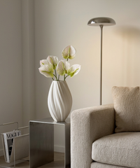 Anthurium 6er Bouquet in Weiß | Bloom