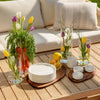 Antipasti Bundle