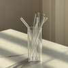 Set of Long & Short Glass Straws | Aris