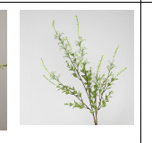 Sage Blossom in White | Bloom