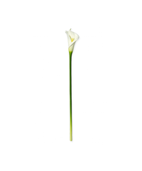 Realistische Kunstblume Calla-Lilie in Weiß – bloom collection von 7 O'CLOCK