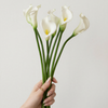 Calla Lily 6-pc Bouquet in White | Bloom