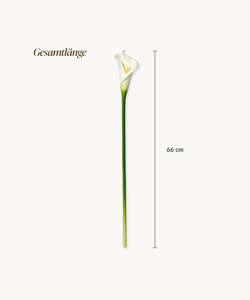 Kunstblumen-Bouquet Calla-Lilie 6er in Weiß aus der Serie Bloom – Größenübersicht