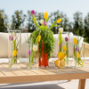 Medium storage jar | Caya
