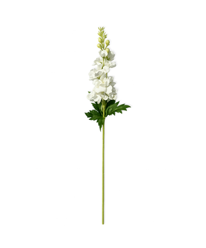 Stocks in white | Bloom