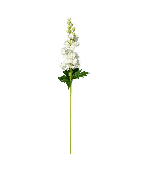 Stocks in white | Bloom
