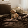 Dark brown muslin single bed linen | Haven