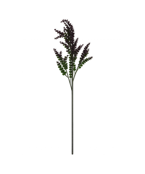 Small Eucalyptus in Purple | Bloom