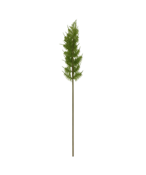 Fern Branch in Green | Bloom