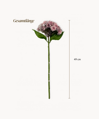 Hortensien 4er Bouquet in Altrosa | Bloom