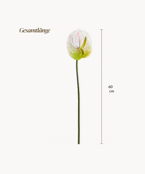 Kunstblumen-Bouquet Anthurium 6er in Weiß aus der Serie Bloom – Produktansicht