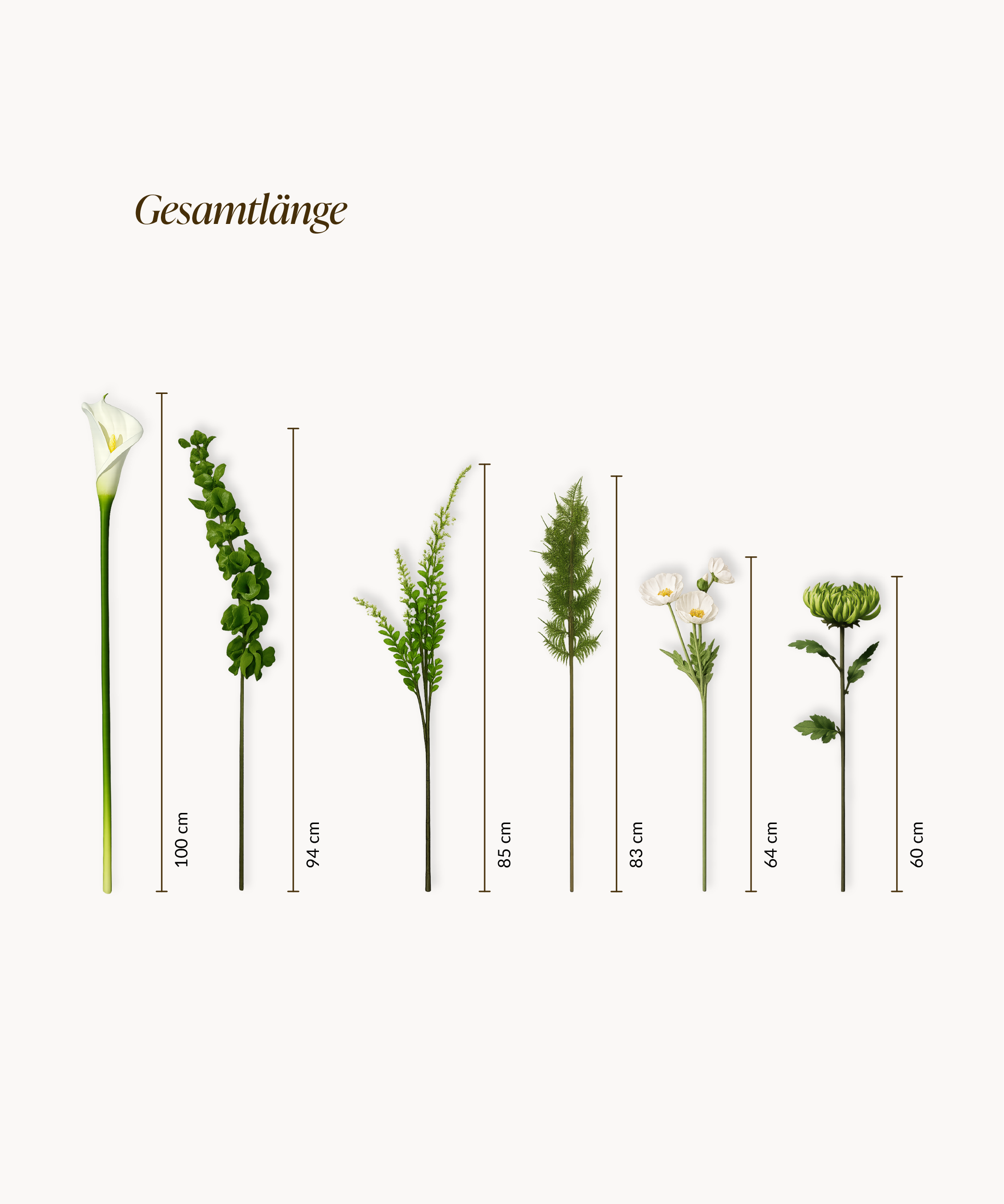 Calla Rising 15er Bouquet in Weiß & Grün | Bloom