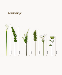 Calla Rising 15er Bouquet in Weiß & Grün | Bloom