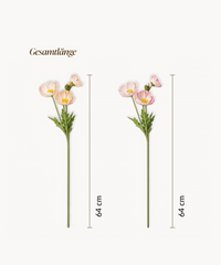 Mohnblüte 8er Bouquet in Rosa & Coral | Bloom