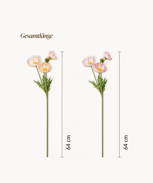 Poppy Bouquet of 8 in Rose & Coral | Bloom