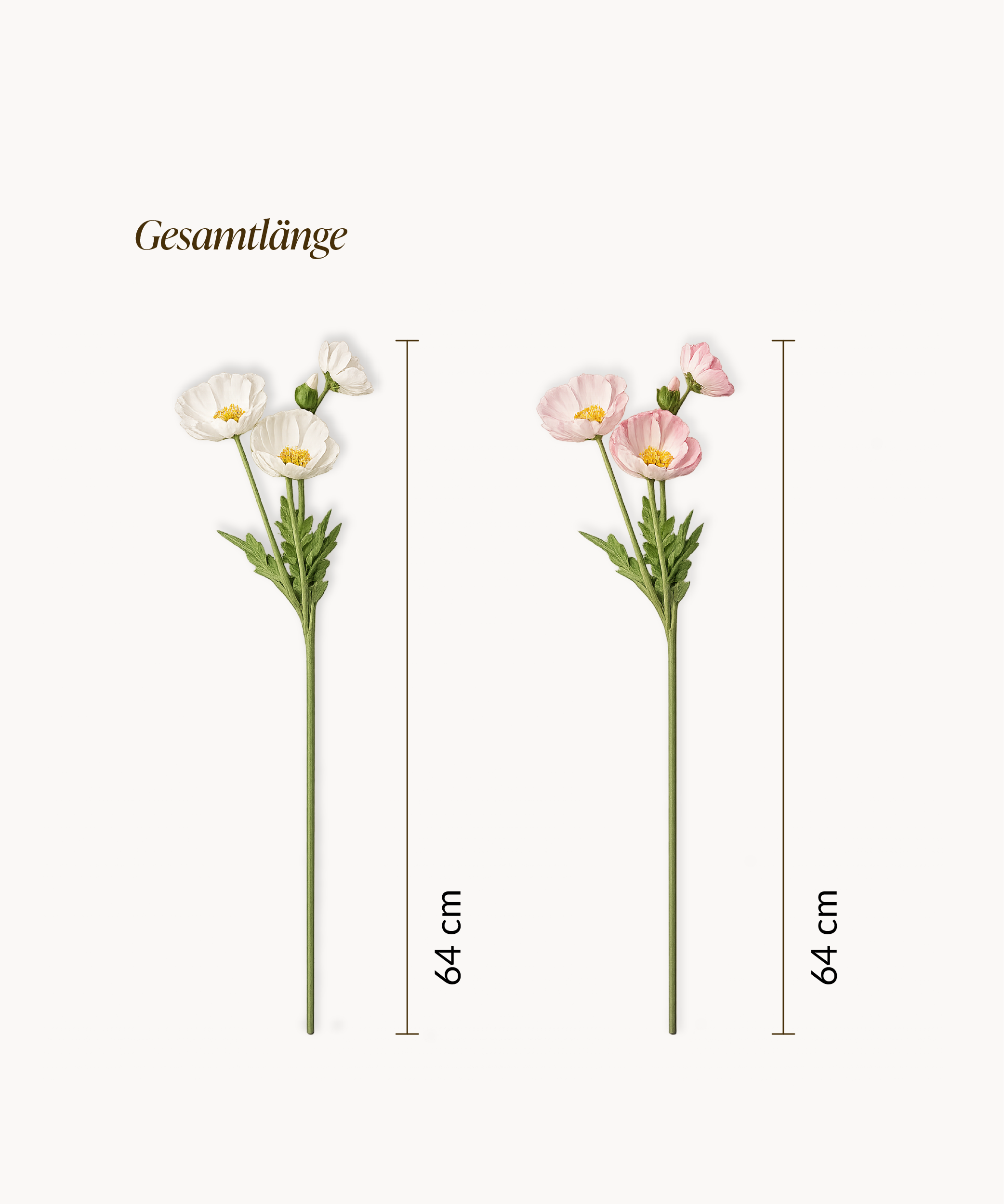 Mohnblüte 8er Bouquet in Weiß & Rosa | Bloom