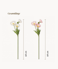 Mohnblüte 8er Bouquet in Weiß & Rosa | Bloom