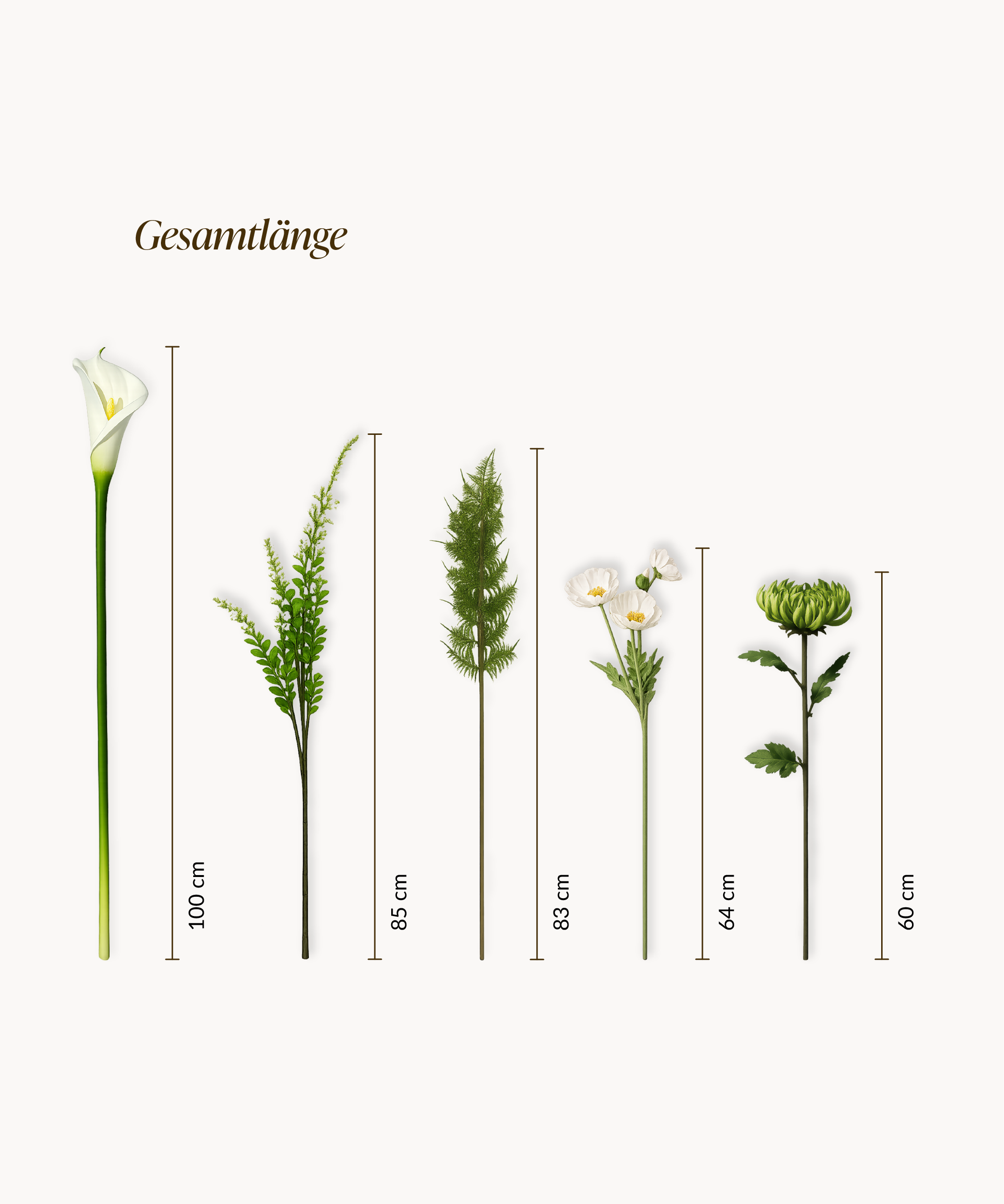 Pure Fern 13er Bouquet in Weiß & Grün | Bloom